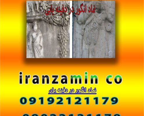 نماد انگور در دفینه یابی