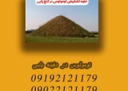 تومولوس در دفینه یابی