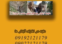 دفینه در اطراف آبشار ها