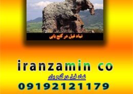 نماد فیل در گنج یابی