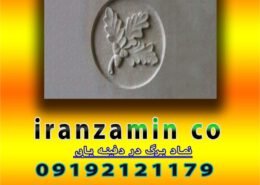نماد برگ در دفینه یابی