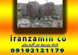 نماد میمون در گنج یابی