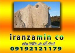 نماد گاو در دفینه یابی