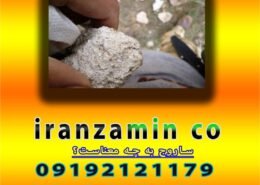 ساروج به چه معناست؟