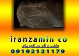 ماهی و گاو در گنج یابی