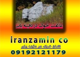 نشان خوک در دفینه یابی