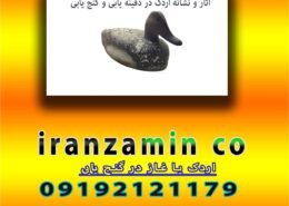 اردک یا غاز در گنج یابی