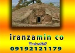 تومولوس چیست؟