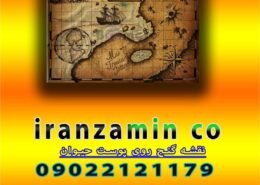 نقشه گنج روی پوست حیوان
