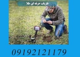 فلزیاب حرفه ای