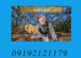 کشف گنج با فلزیاب
