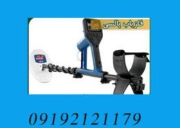 فلزیاب پالسی