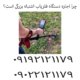 چرا اجاره دستگاه فلزیاب اشتباه بزرگی است؟