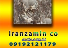 نماد روباه در گنج یابی