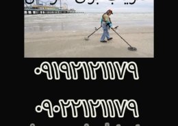 فلزیاب برای سواحل