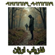 فلزیاب ارزان