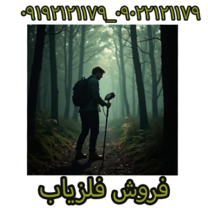 فلزیاب پالسی