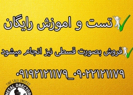 طلایاب تصویری